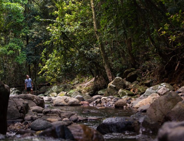 Springbook National Park
