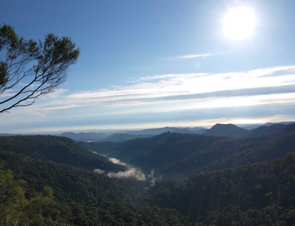 Best of All Lookout