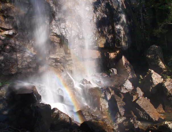 Springbrook