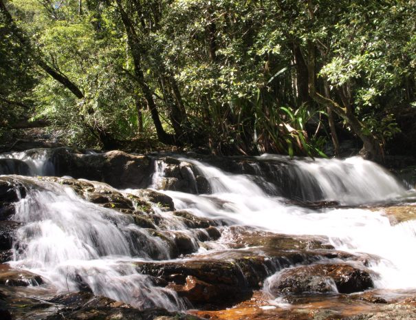 Springbrook